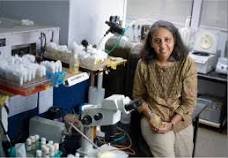 Gaiti Hasan - Wikiunfold.com